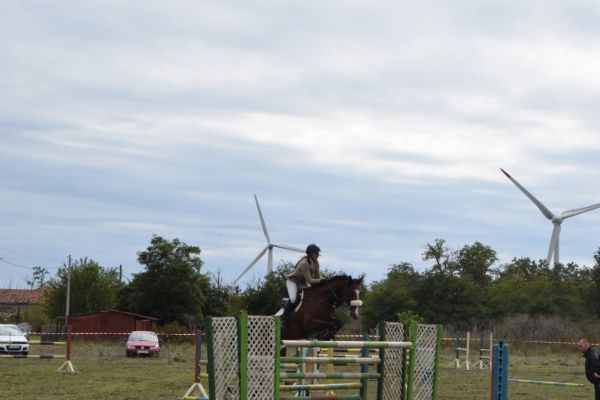 1-923C61567-41F4-CC2D-713D-981C23C4485C.jpg